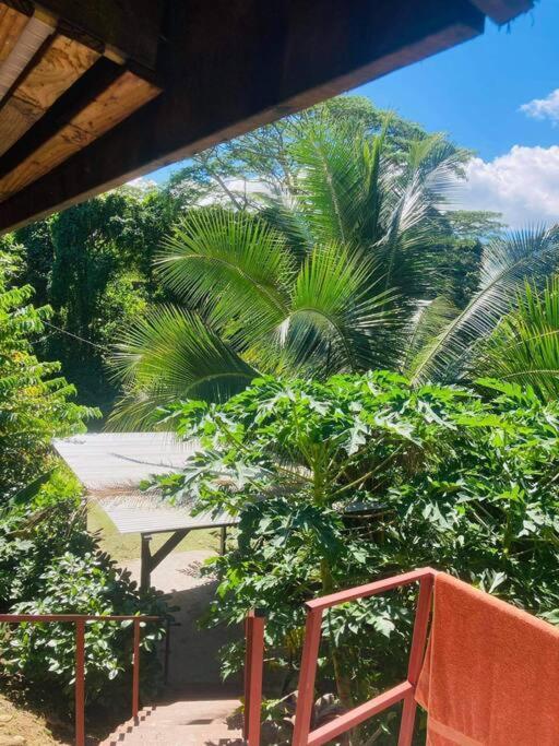 Ohana Location Ravissant Appart Spacieux Parking Gratuit A Uturoa Apartment Bagian luar foto