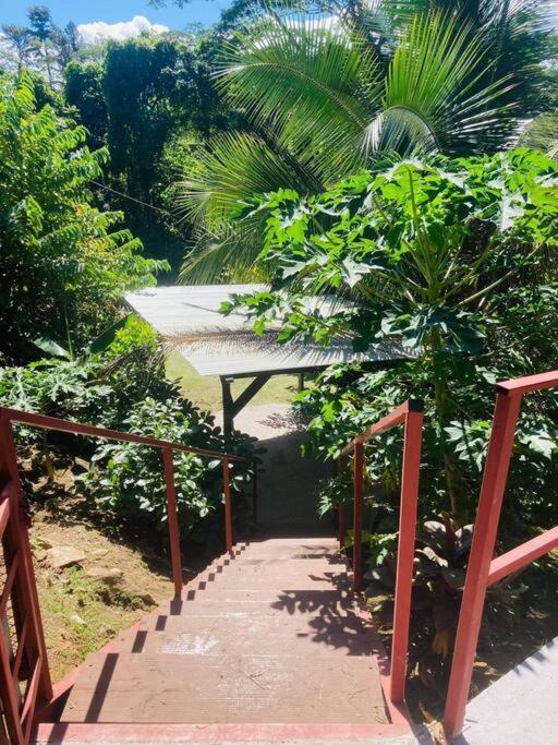 Ohana Location Ravissant Appart Spacieux Parking Gratuit A Uturoa Apartment Bagian luar foto
